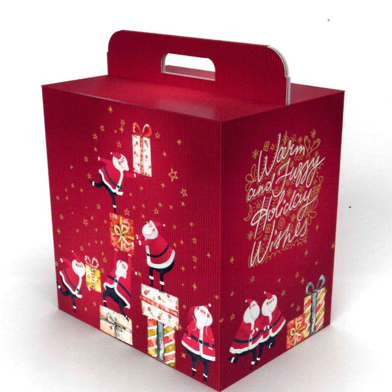 Casa della Carta - Scatola per confezioni natalizie fantasia Dear Santa V095