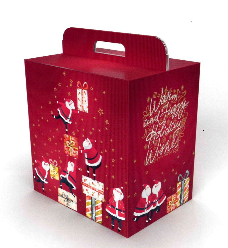 Casa della Carta - Scatola per confezioni natalizie fantasia Dear Santa V095