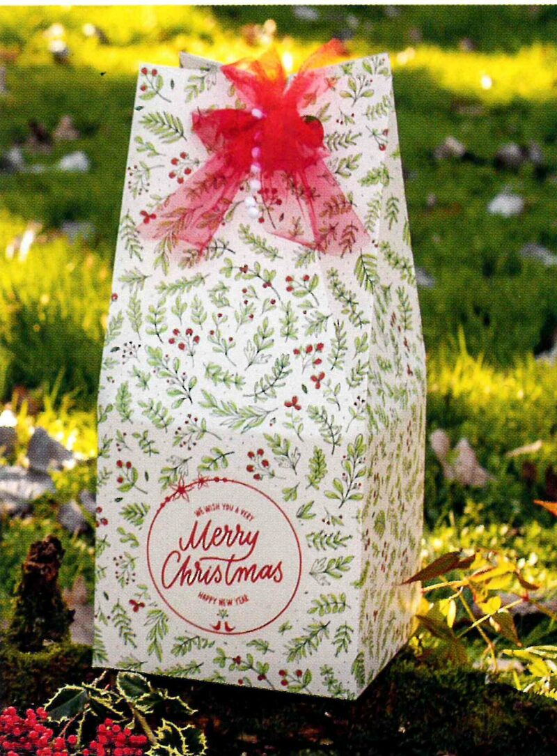 Casa della Carta - Scatola per confezioni Merry Berry serie 50s v094