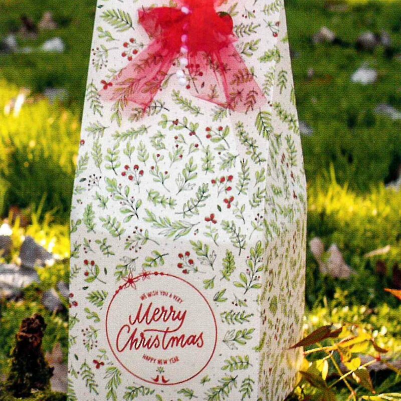 Casa della Carta - Scatola per confezioni Merry Berry serie 50s v094